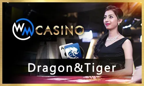 fb777 Cockfighting Betting